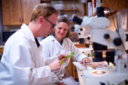 Bartlett Tree Research Lab Staff