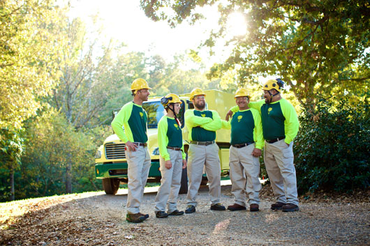 Local Office Arborist