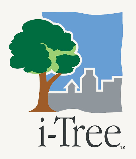 i-Tree