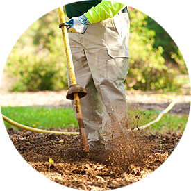 Fertilization and Soil Care Tree Service